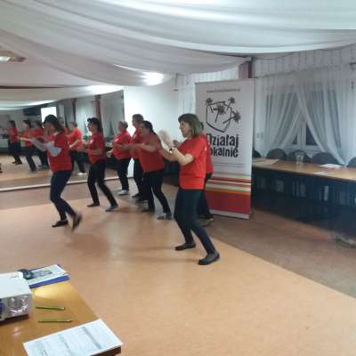 Podsumowanie Działaj Lokalnie 2016