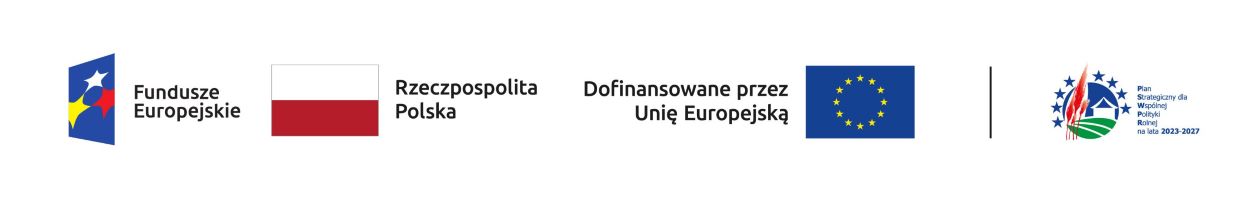 NAgłowek
