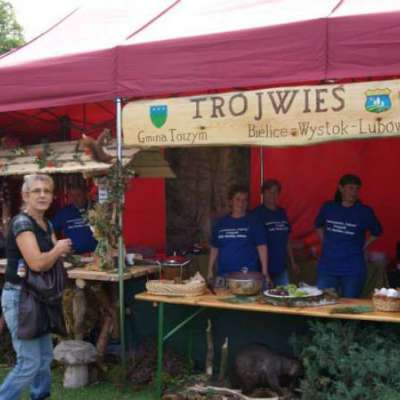 Stowarzyszenie TRÓJWIEŚ, Gmina Torzym